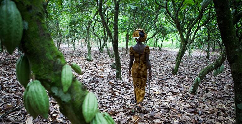 Woman walking in the crops